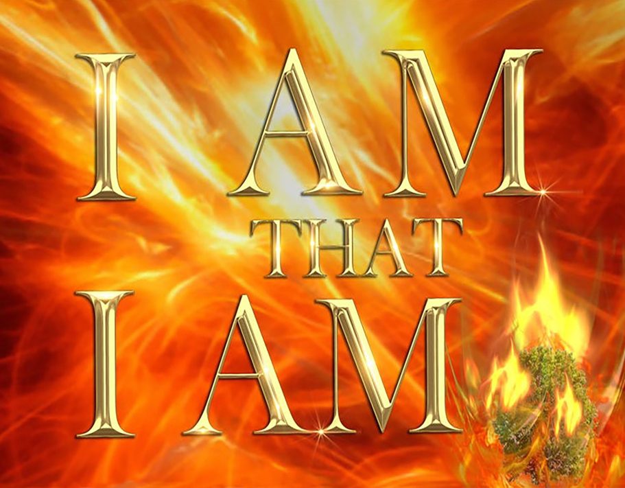 Text reads: "By His Stripes, We Are Healed" with vibrant colors and artistic background.